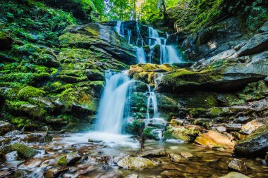 Orman şelalesi Shipot. Ukrayna, Karpat Dağları. Ormanda güzel bir şelale Yazın dağlarda.