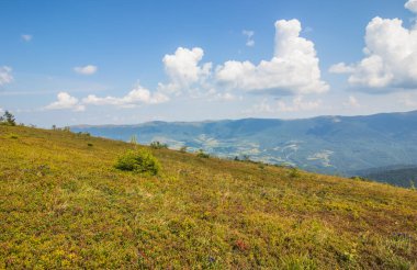 Dağlara ve vadilere giden Ukrayna Karpatlarının güzel manzarası. Yazın sonlarında Karpatlar 'ın kayalık tepeleri ve odunları. Sarı ve yeşil çimenler ve dağın tepesi ve ona giden yol.
