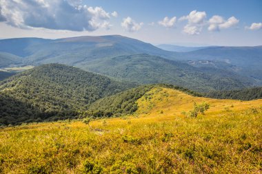Dağlara ve vadilere giden Ukrayna Karpatlarının güzel manzarası. Yazın sonlarında Karpatlar 'ın kayalık tepeleri ve odunları. Sarı ve yeşil çimenler ve dağın tepesi ve ona giden yol.