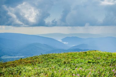 Dağlara ve vadilere giden Ukrayna Karpatlarının güzel manzarası. Dağlarda yağmur bulutları. Sarı ve yeşil çimenler ve dağın tepesi ve ona giden yol.