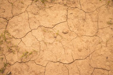 Çatlaklarla kurumuş toprak. Kuru toprak. Çatlak Zemin, Deprem Arkaplan, Doku