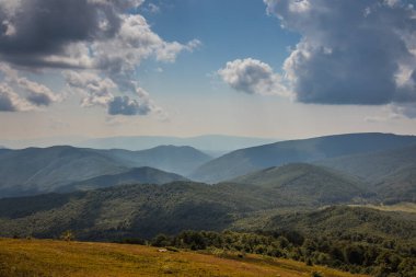 Dağlara ve vadilere giden Ukrayna Karpatlarının güzel manzarası. Dağlarda yağmur bulutları. Sarı ve yeşil çimenler ve dağın tepesi ve ona giden yol.