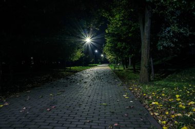 Sonbaharın başlarında fenerlerle dolu gece parkındaki fayanslı yol. Sonbahar geceleri parktaki banklar. Gece parkında yeşil ve sarı çimenler ve yapraklar. Yoldaki sarı yapraklar.
