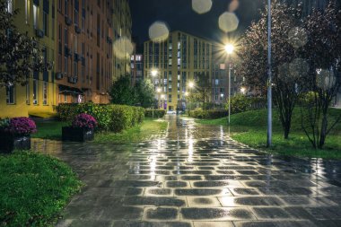 Yağmurlu bir sonbahar gecesinde gece parkı yolları ve renkli evler. Güzel bir yerleşim yerindeki gece yolları, banklar, fenerler. Fenerlerle, banklarla, sarı yapraklarla dolu bir sonbahar parkı. Kyiv. Ukrayna