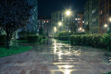 Yağmurlu bir sonbahar gecesinde gece parkı yolları ve renkli evler. Güzel bir yerleşim yerindeki gece yolları, banklar, fenerler. Fenerlerle, banklarla, sarı yapraklarla dolu bir sonbahar parkı. Kyiv. Ukrayna