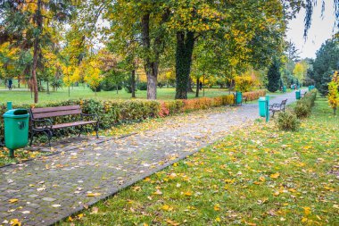 Bulutlu bir günde sonbahar parkı. Ağaçlarda ve park yolunda sarı yapraklar var. Gökyüzünde alçak gri bulutlar. Parkta sonbaharın başlangıcı. Bulutlu bir gün.