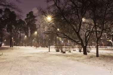 Gece parkındaki karlı yollarda kışın fenerler. Geceleri kış mevsiminde parktaki banklar. Geceleri fenerlerle dolu bir parkın aydınlanması. Ağaçlarda kar. Park Kyoto.Kyiv