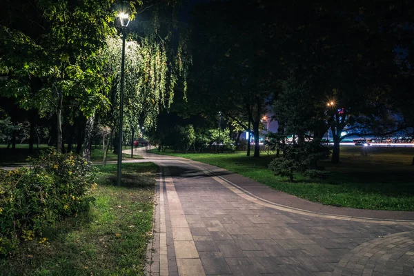 Sonbaharda fenerlerle dolu gece parkındaki sarp yol. Sonbahar sezonu boyunca parktaki banklar. Geceleri fenerlerle dolu bir parkın aydınlanması. Park Kyoto