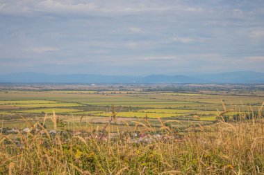 Dağların eteğinde küçük bir kasaba. Dağlar arasında bir vadide köy. Yazın dağdan vadiye manzara. Kırsal alan. Evlerin kırmızı çatıları. Carpathian, Ukrayna, Avrupa