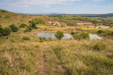 Eski kapalı taş ocağı. Eski bir taş ocağında su birikintisi. Ukrayna 'daki dağlarda eski kapalı bir taş ocağının içinde fıtık orogeninin jeolojik yapıları üzerinde büyüyen ağaçlar.