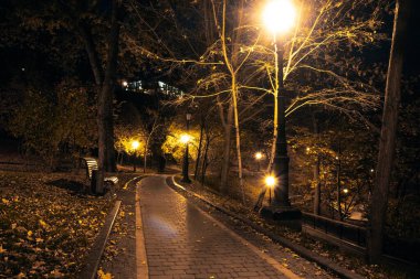 Sonbaharda fenerlerle dolu gece parkındaki sarp yol. Sonbahar sezonu boyunca parktaki banklar. Geceleri fenerlerle dolu bir parkın aydınlanması. Mariinsky Parkı. Kyiv