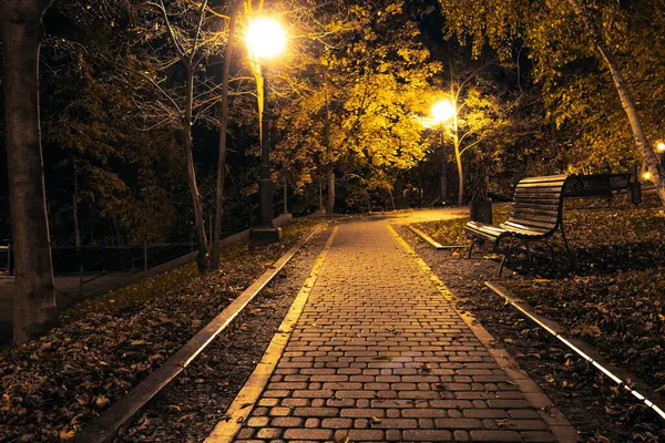 The teiled road in the night park with lanterns in autumn. Benches in the park during the autumn season at night. Illumination of a park road with lanterns at night. Mariinsky Park. Kyiv