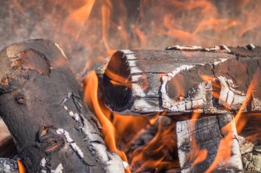Yakından bakınca alevler içinde yanan bir kütük görülüyor. Sahne, yakacak odunların parlayan yoğunluğunu ve güzelliğini yakar.
