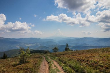 Bereketli bitki örtüsünün, dolambaçlı yolların ve bulutlu mavi gökyüzünün yer aldığı bir dağ manzarası..