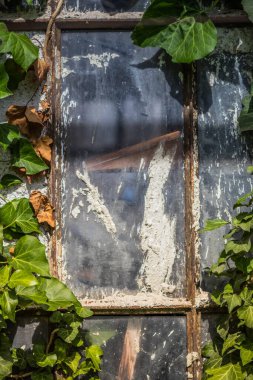 Sarmaşık ve yapraklarla süslenmiş kırsal bir pencere, doğanın güzelliğini gösteren yapılar..
