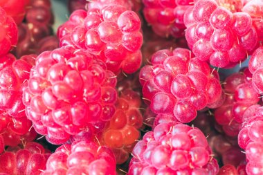 Fotoğraf olgun ahududularının canlı detaylarını yakalıyor, tazeliklerini ve zengin renklerini vurguluyor.