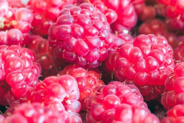 Fotoğraf olgun ahududularının canlı detaylarını yakalıyor, tazeliklerini ve zengin renklerini vurguluyor.