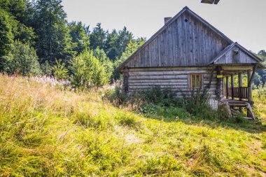 Güneşli bir çayırda yuva yapmış, sakin bir kırsalda yemyeşil ağaçlarla çevrili tuhaf bir ahşap kulübe..