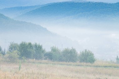 Güzel, sakin bir manzara. Yuvarlanan tepeler, sis ve yemyeşil. Yumuşak ve yumuşak bir gökyüzünün altında.
