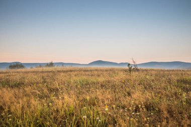 Görkemli dağları ve geniş kır çiçeklerini gözler önüne seren güzel, sakin bir gün doğumu manzarası.
