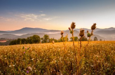 Görkemli dağları ve geniş kır çiçeklerini gözler önüne seren güzel, sakin bir gün doğumu manzarası.