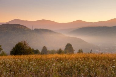 Görkemli dağları ve geniş kır çiçeklerini gözler önüne seren güzel, sakin bir gün doğumu manzarası.