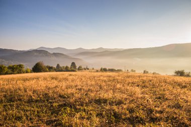 Görkemli dağları ve geniş kır çiçeklerini gözler önüne seren güzel, sakin bir gün doğumu manzarası.