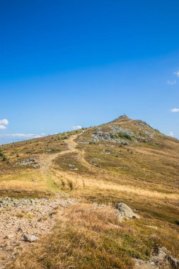 Sakin bir dağın nefes kesici ve çarpıcı manzarası canlı, berrak mavi gökyüzü ve altın otlar üzerine kurulmuş.