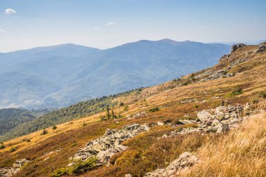 Huzurlu ve sakin bir dağ manzarası altında altın otların yanında kayalık bir zirve sergiliyor.