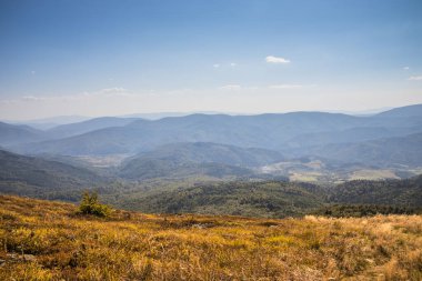 Huzurlu ve sakin bir dağ manzarası altında altın otların yanında kayalık bir zirve sergiliyor.