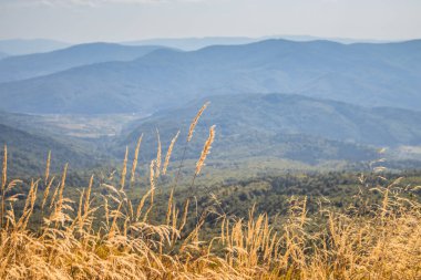 Bu güzel manzarada şaşırtıcı dağ manzaraları, yemyeşil otlar ve canlı kır çiçekleri tecrübe edin.