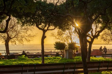 Salerno, İtalya - 25 Aralık 2022: Lungomare Trieste 'deki ağaçların arasından akşam güneşi