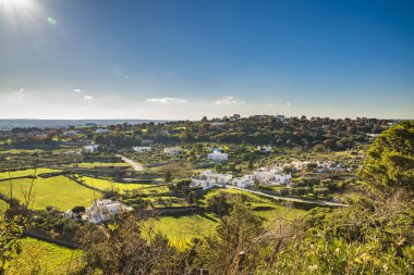 Locorotondo kasabasının dışındaki koni çatılı Trulli evleri