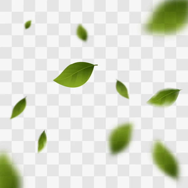 Foglie Verdi Volante Foglie Verdi Sfondo Trasparente Vegan Eco Foglie — Vettoriale Stock