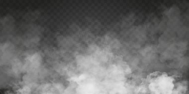 Sis ya da duman izole edilmiş şeffaf özel efekt. Beyaz vektör bulanıklığı, sis veya sis arkaplanı. Vektör illüstrasyonu