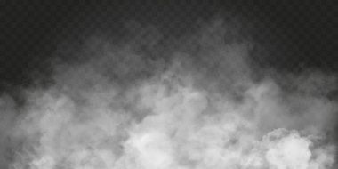 Fog or smoke isolated transparent special effect. White vector cloudiness, mist or smog background. Vector illustration clipart