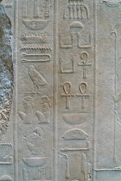 ancient text in the form of Egyptian hieroglyphics on a wall of limestone