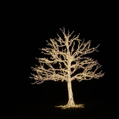   Magdeburg 'daki Elbauenpark' ta bulunan Lumagica 'nın ışık tesisindeki peri ışıklarından yapılmış aydınlık bir süs ağacı Noel sezonunun havası olarak.                             