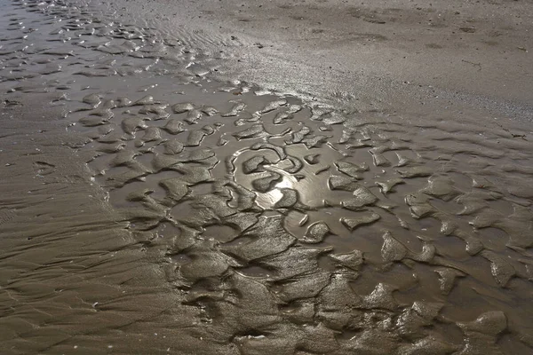 Spiegelung Der Sonne Nassen Sand Der Polnischen Ostseeküste — Stockfoto