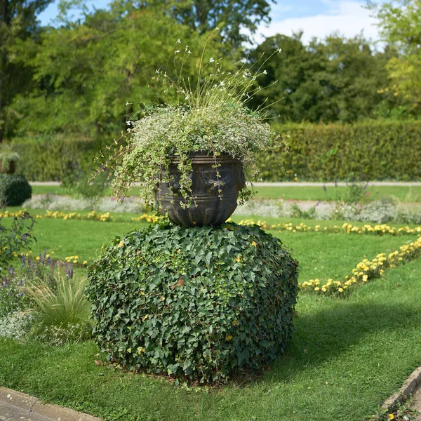 Plantador Com Flor Como Decoração Prado Parque Público Alemanha — Fotografia de Stock