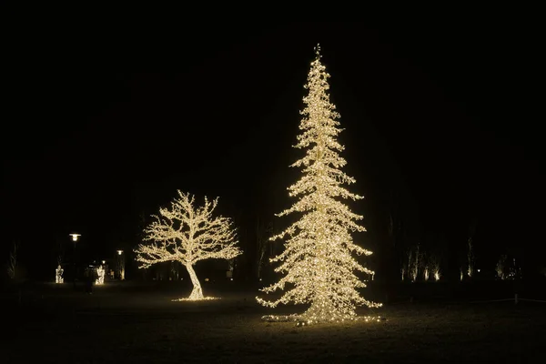 A Tree as an illuminated decoration made of fairy lights at the light installation Lumagica in the Elbauenpark in Magdeburg as a mood for the Christmas season