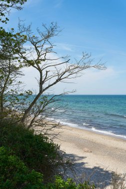   Alman Baltık kıyısındaki Kuehlungsborn ve Heiligendamm şehirleri arasındaki uçurum.                              