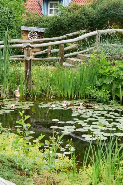 Lagoa Romântica Com Lírios Água Florescendo Jardim Verão — Fotografia de Stock