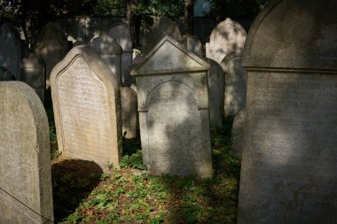  Prag 'daki tarihi bir Yahudi mezarlığında eski yıpranmış mezar taşları.                             