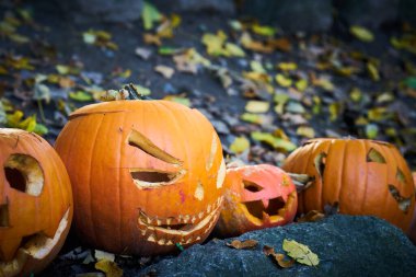 Pumpkins with faces as decoration for Halloween in a garden                                clipart