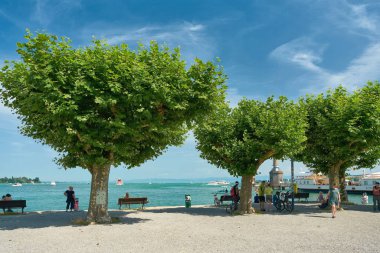 Constance, Almanya 30 Temmuz 2024: Constance Gölü kıyısında gölün muhteşem manzarası ve gölgeler için uçak ağaçları                               