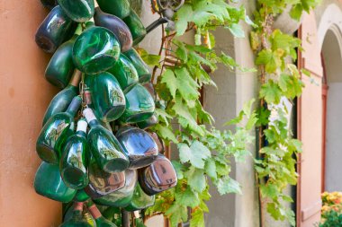   Geleneksel Bocksbeutel adı verilen şarap şişeleri, Almanya 'da Franconia' da Rothenburg ob der Tauber 'da bir ön cephede süsleme olarak kullanıldı.                             
