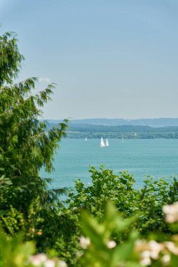  Almanya 'nın Mainau adasından Bodensee, Constance Gölü manzarası.                              