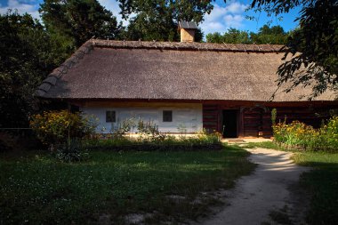 Yazın yeşillik ve çiçeklerle çevrili sazdan çatılı geleneksel Ukrayna evi resmi