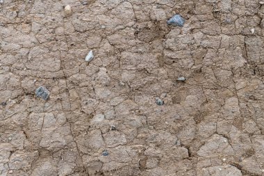 Arka planda çakıl taşları olan Baltık Denizi kıyısında.